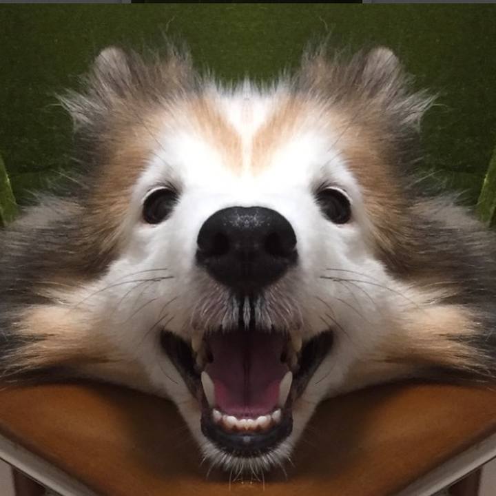 24427976 c4d0 43b6 8fae 616328ae6709