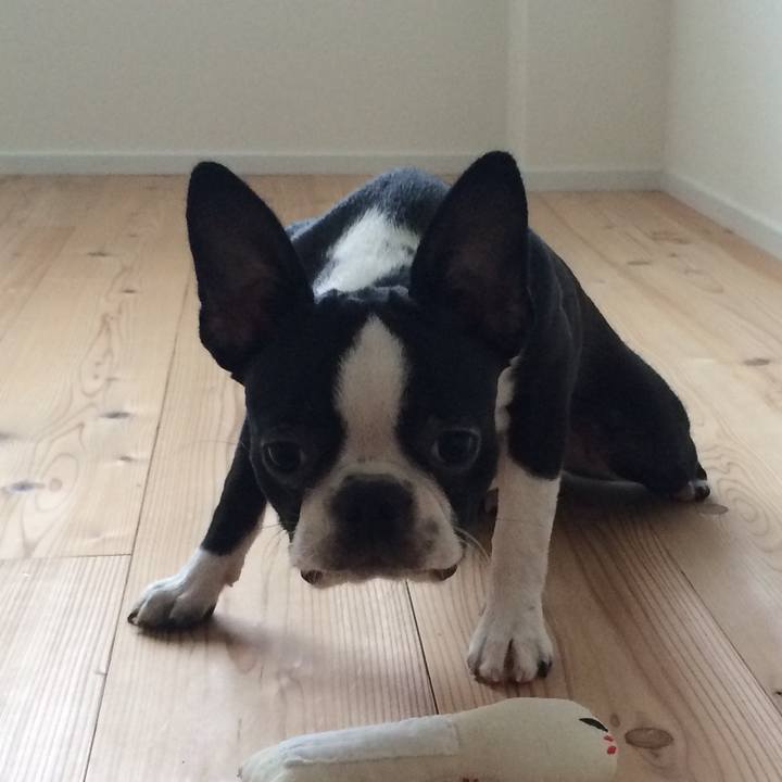 2442cb78 1e2c 42f0 9099 e10629d5550b