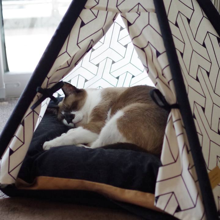 2442e991 f5a6 421f 9436 8fa7c163eeed