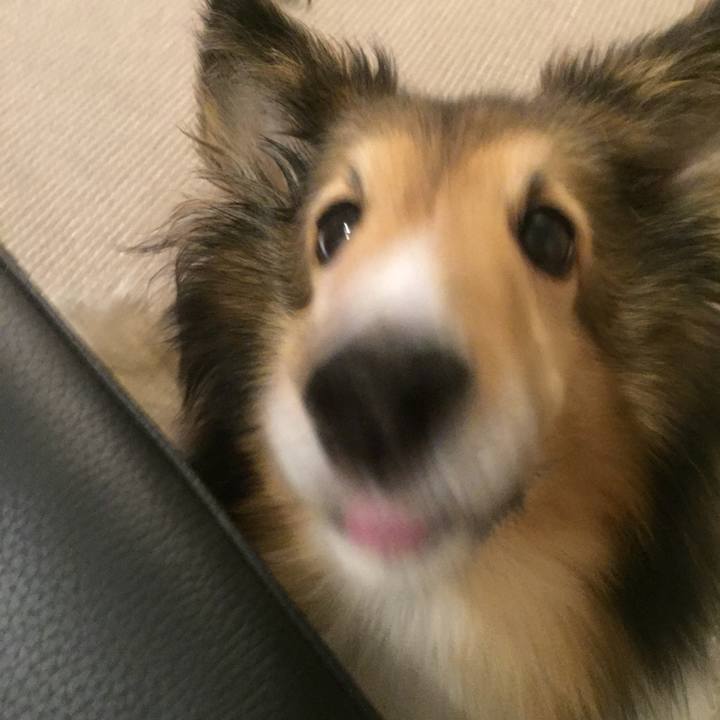 2442f728 4bbe 4661 95e9 74a262a15cb6