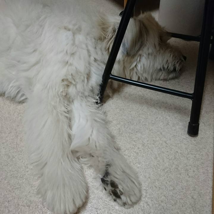 2443086d 8baa 4633 8361 3583345eb4a9