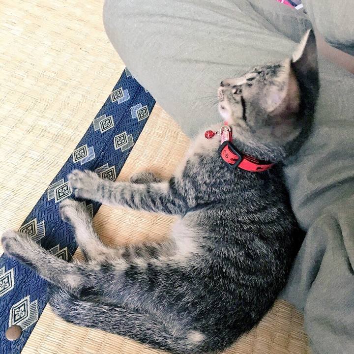 24439bfa cbe7 4d36 b211 1984a296e1fd