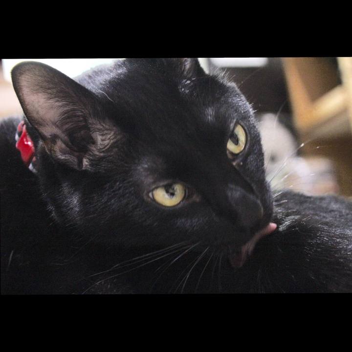 24444ed0 fa59 4a8e a86c 2b908ba993bf