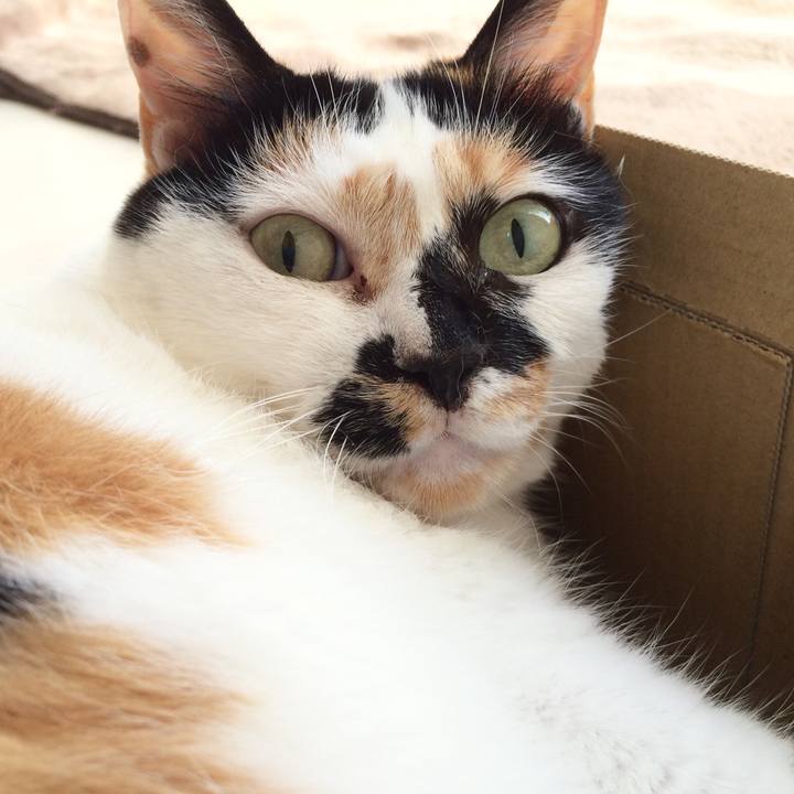 2444789c ef15 43ad b291 b91e9e8448b5