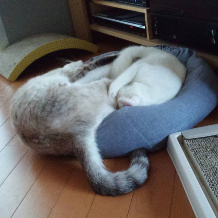 2444806f 5775 4625 981e 4740cf275fc1