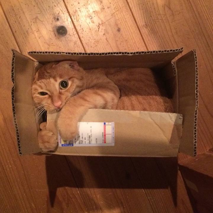 244496f2 0d20 4afb b277 bf6b63d71af9