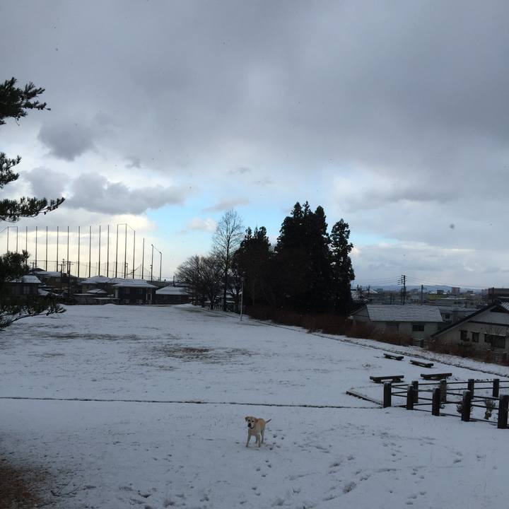 244529bc 26fe 4831 b211 2997ebba8da9