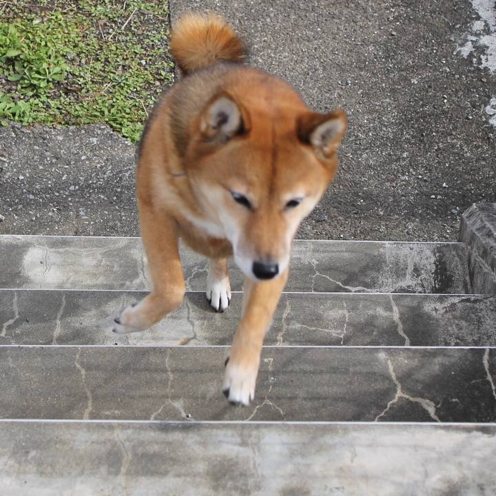 24453fbe 3f8f 497b 90b3 441f49a1b402