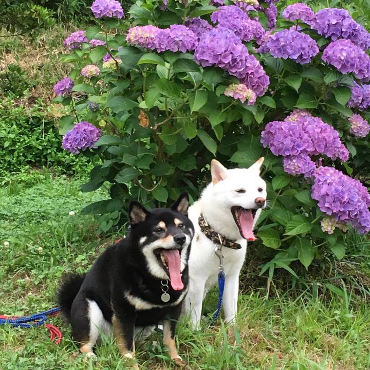 2445b370 18a5 4624 b50d 59901e65d63c