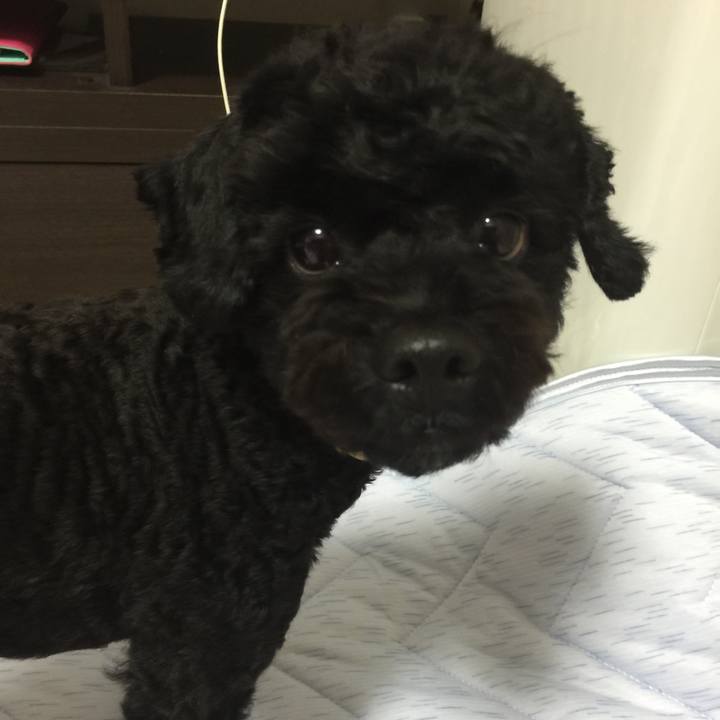 2445cd99 3cbf 4886 89be 8a43ead9c899