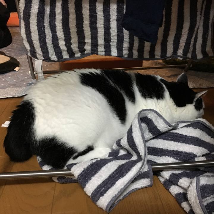 2445dc13 ca57 4b82 9fa0 5c9362766f54