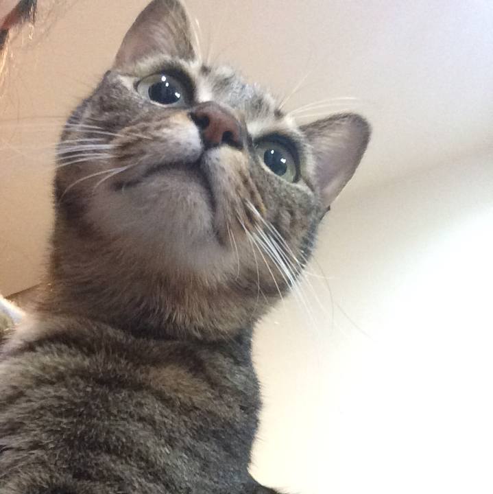 24468662 c690 4df5 bc62 f1731485f557