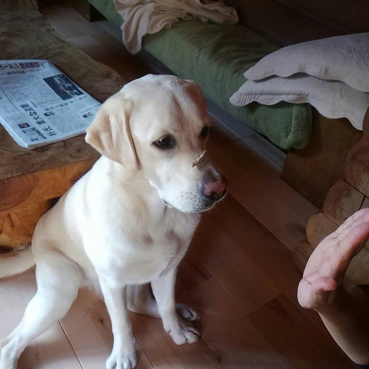 2446cb12 2345 4cee 9369 3e8def1e969f