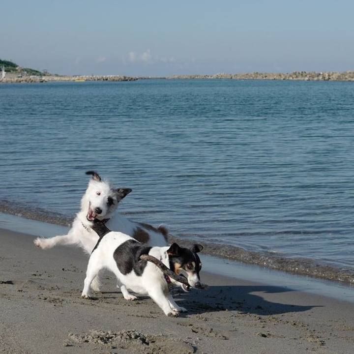 24470b71 c7db 4baf 82f9 a6951430b8f6