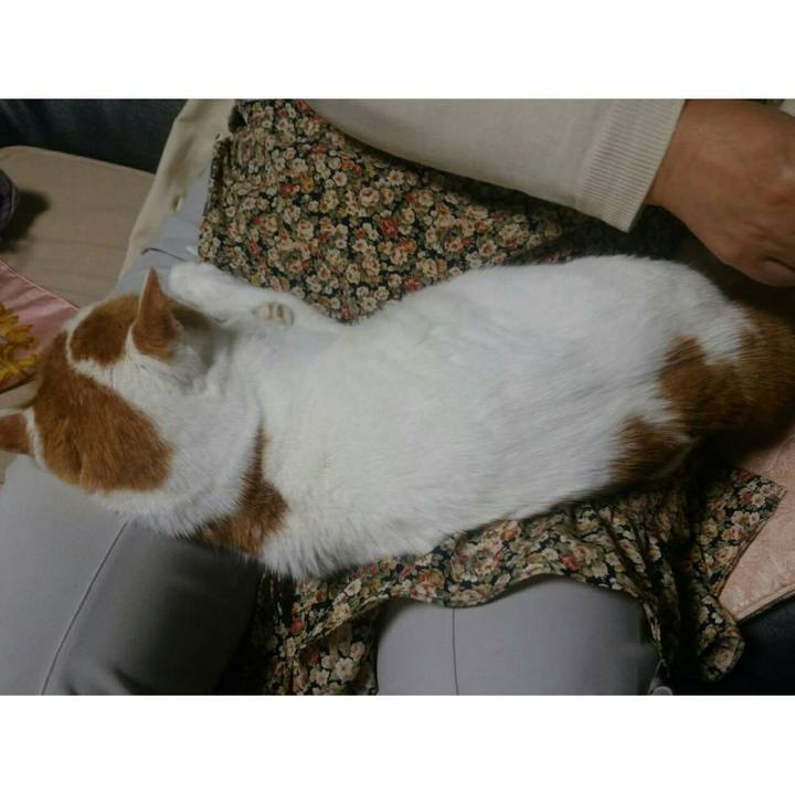 244711e7 d8c4 4d70 9b51 dd7ddf2359a6