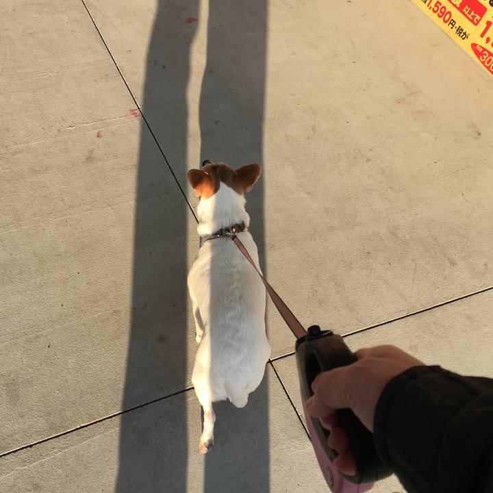 24472b69 a8e4 470d ad56 d243d114dc74