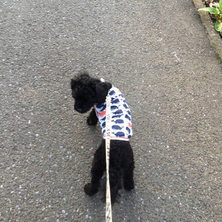 24475ce1 98d9 4bdd a747 05bf399eeacb