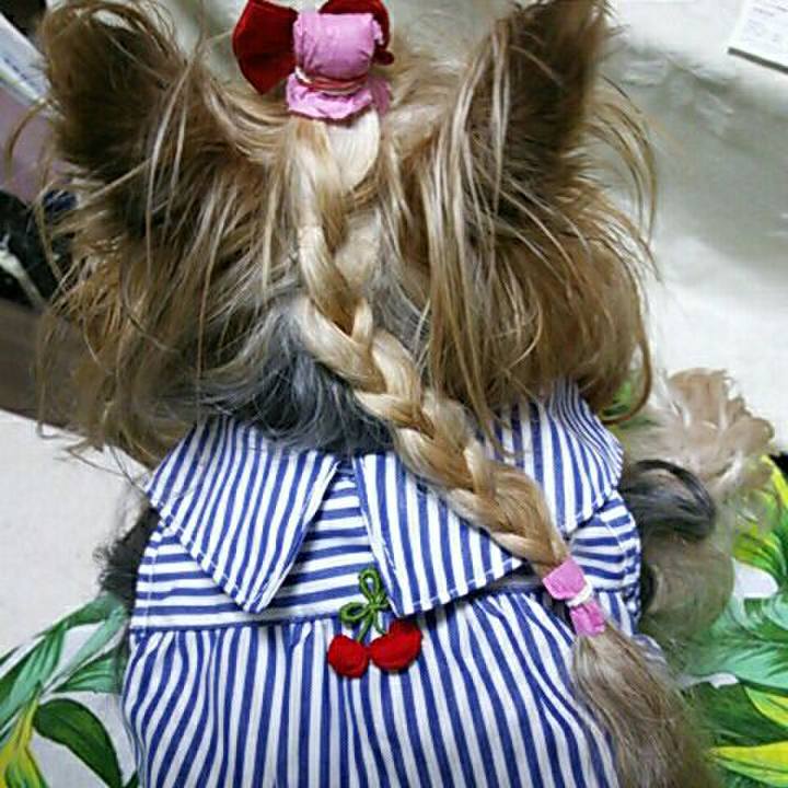 2447ab81 e72a 48bf 94fc e83a4b459c66