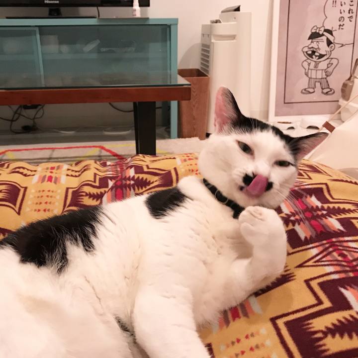 2447eaa9 5020 41e9 9993 0663d47a7183