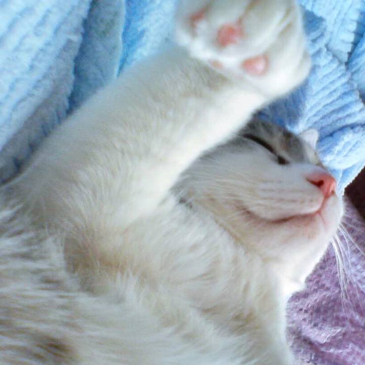 2447f8bc f883 4ad6 b6d0 4915e388a954