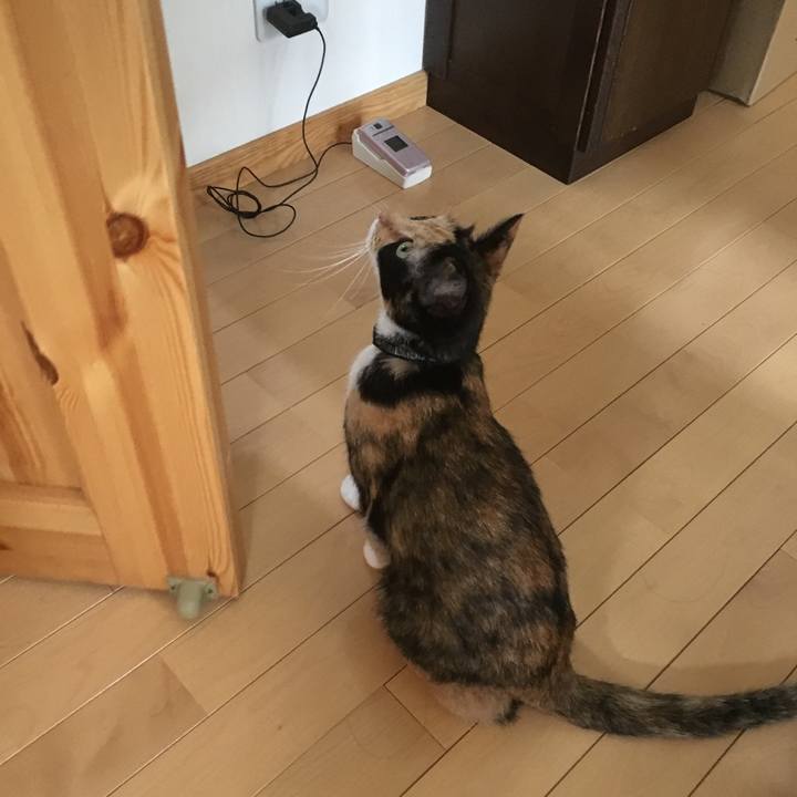 24484a88 3dfc 472a 8396 5a357d98478f