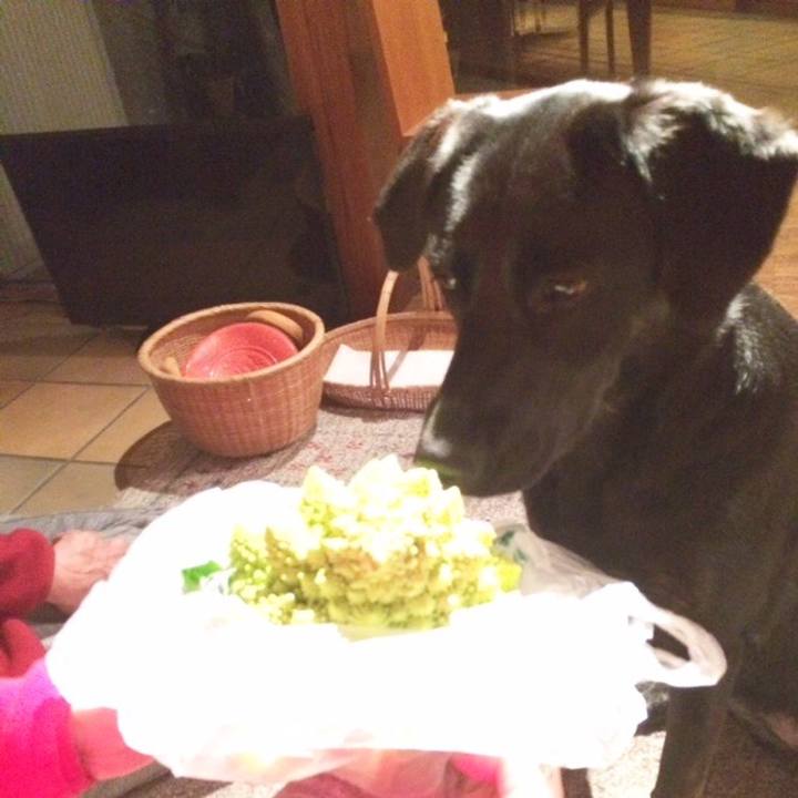 24485c19 ed0f 42d2 ba3c 553c58a2a075