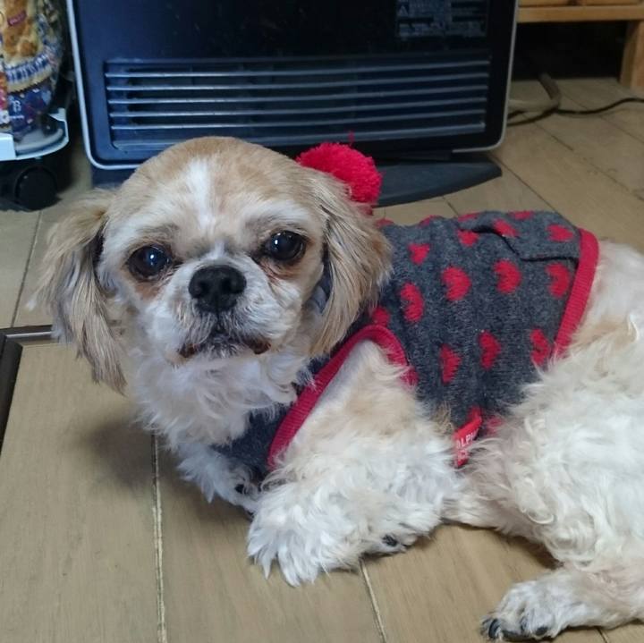 2448b70f 7d11 4479 8b51 a86588f657a6