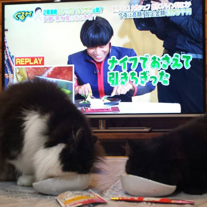 2449a41d c995 4804 bce2 0f0dbd37b2ec