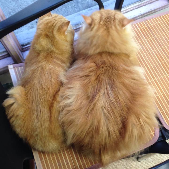 244a3368 05e1 425a af47 f71dc59ea83b