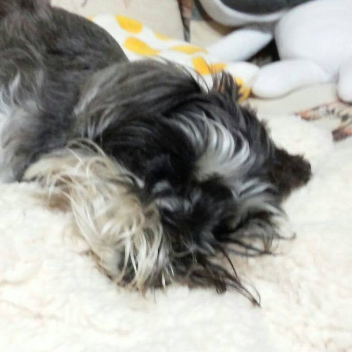 244ab3b5 8ded 42ab bb06 38291aa2ca2c