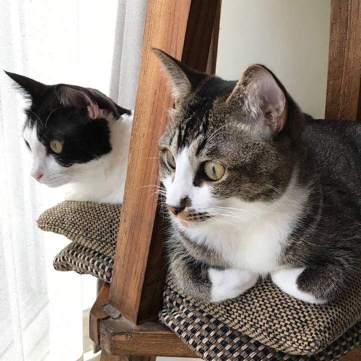 244ae175 4d4a 4442 bd2d ed6e0ebe82a8