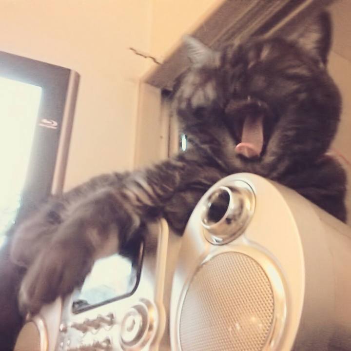 244b00f5 871e 4be3 8d70 7d980f0a403e