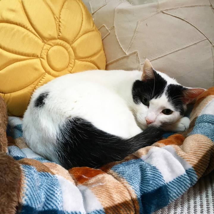 244b2292 0b0f 4fdd a4b6 e3bc6b10b58c