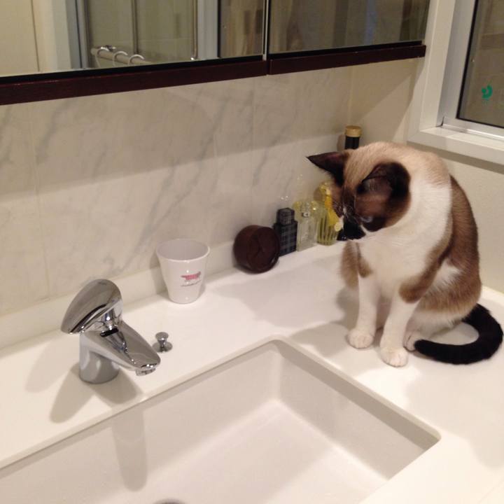 244b263f 67a8 41aa 9891 197e25270bc2