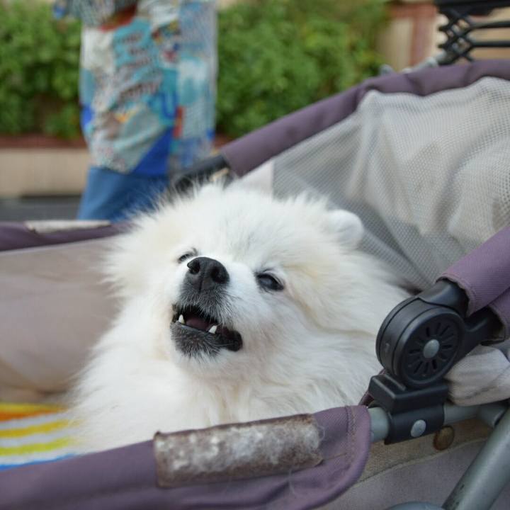 244bb912 6fe1 4f78 9e3f 436efdbfe3d1