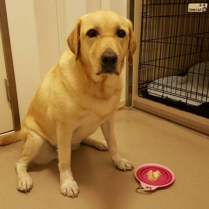 244c04e5 2a66 4a78 8553 7c8df908dc4b