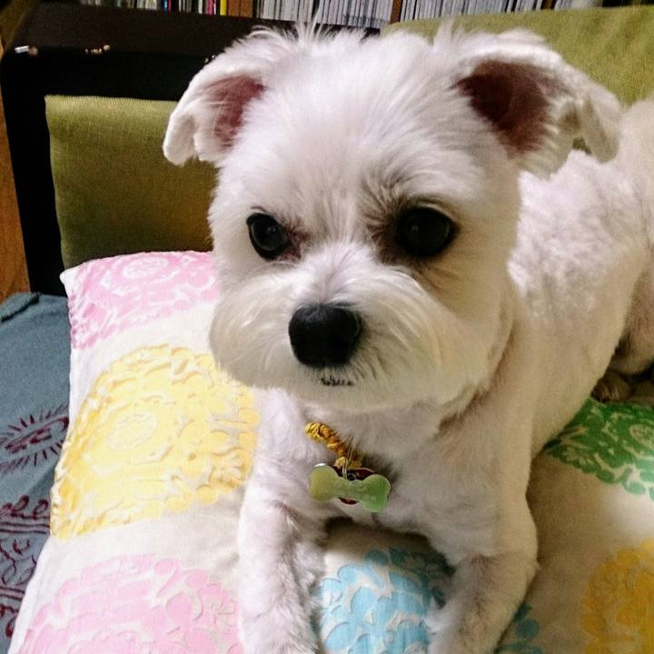 244d1d07 e69a 490b 9a2f bbaf1995b907