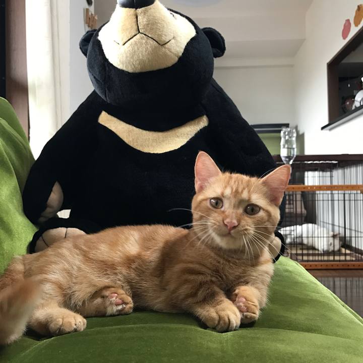 244d2709 bb68 49da a970 5672a9b34e61