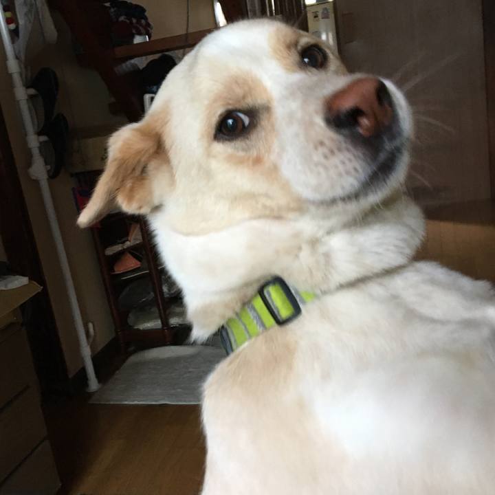 244d5b85 1e50 44c2 ab3c 554c610f2092