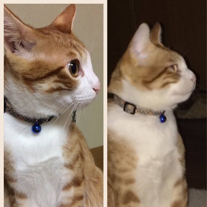 244e2f18 3b52 447a a776 a40c54347418