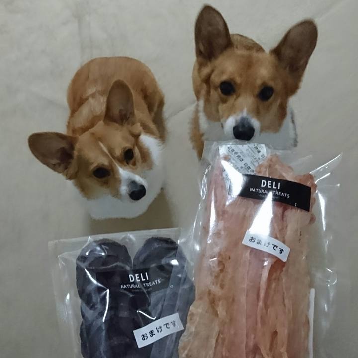 244e9697 7186 411f 9ada b11c20246979