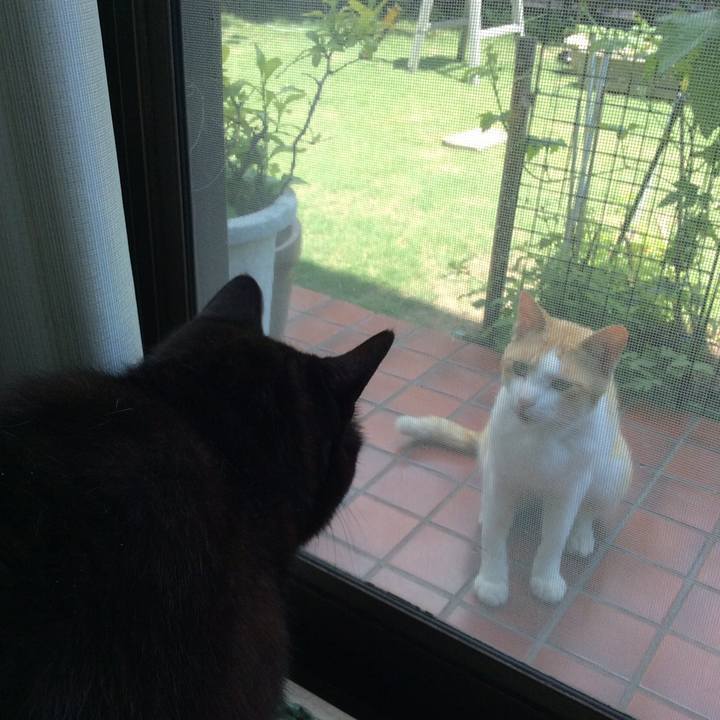 244eb07b 000f 48ea aab8 49174d3f7c49