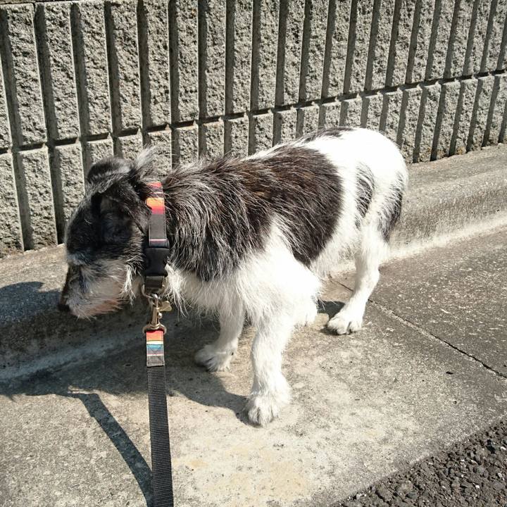 244ef270 6837 4ccc ae70 70561fbe9977