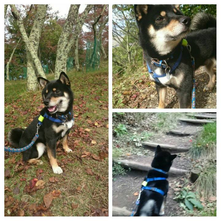 244fb8bb fd2c 48ca b535 0b0cb468b3d5