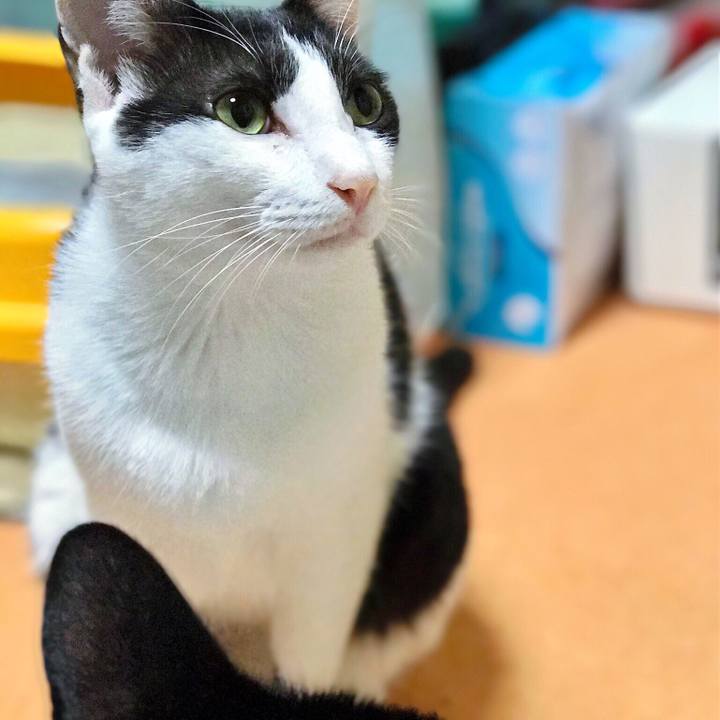 244fc250 c208 4e80 bbfb 9f0e7b175b91