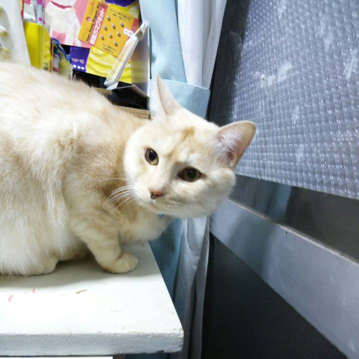 244fca95 e502 414a abc1 43374cbcfe1e