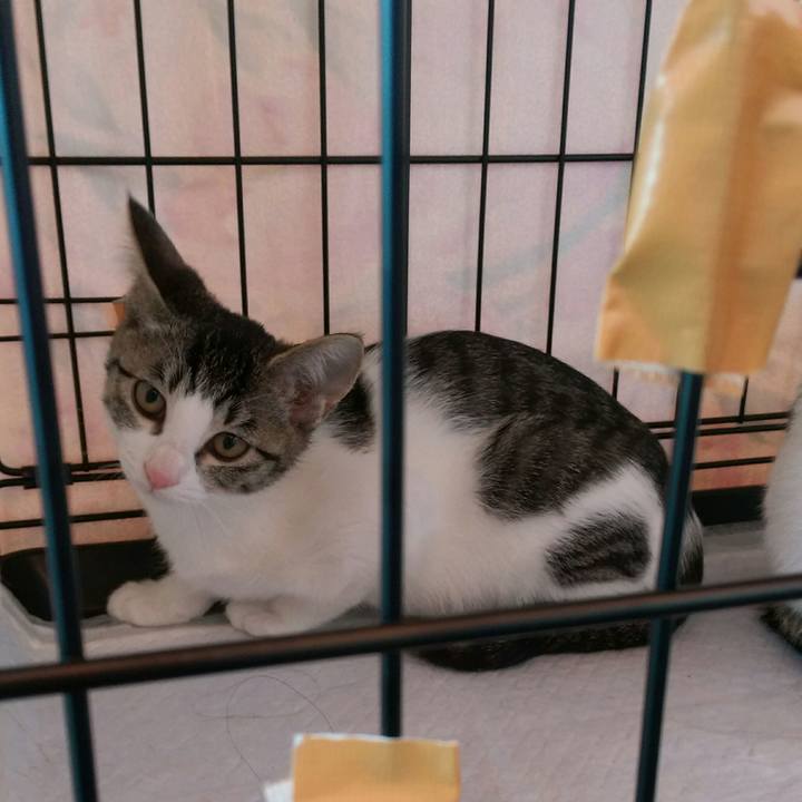 24501196 1f61 4f0a b291 499e6bfbeb58