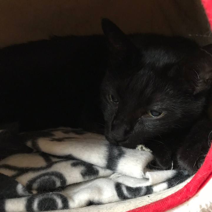 245077b7 c1bd 4c45 a9bb a725feb276fe