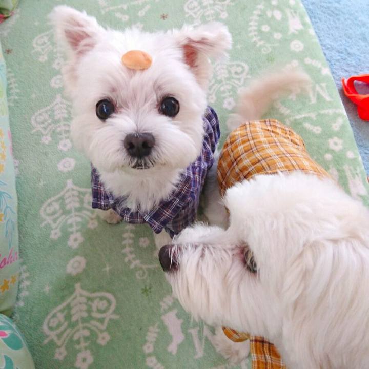 2450b1d2 4fb1 451e 981a a08d7bbe0bbf