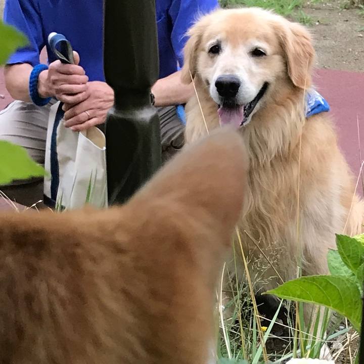 2450c2f2 6de9 44dc 849c 355c4ec35f5f